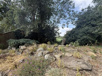Picture 28
